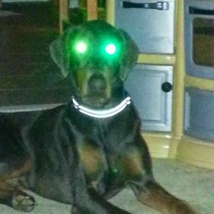 Meet your Posher, Jeff